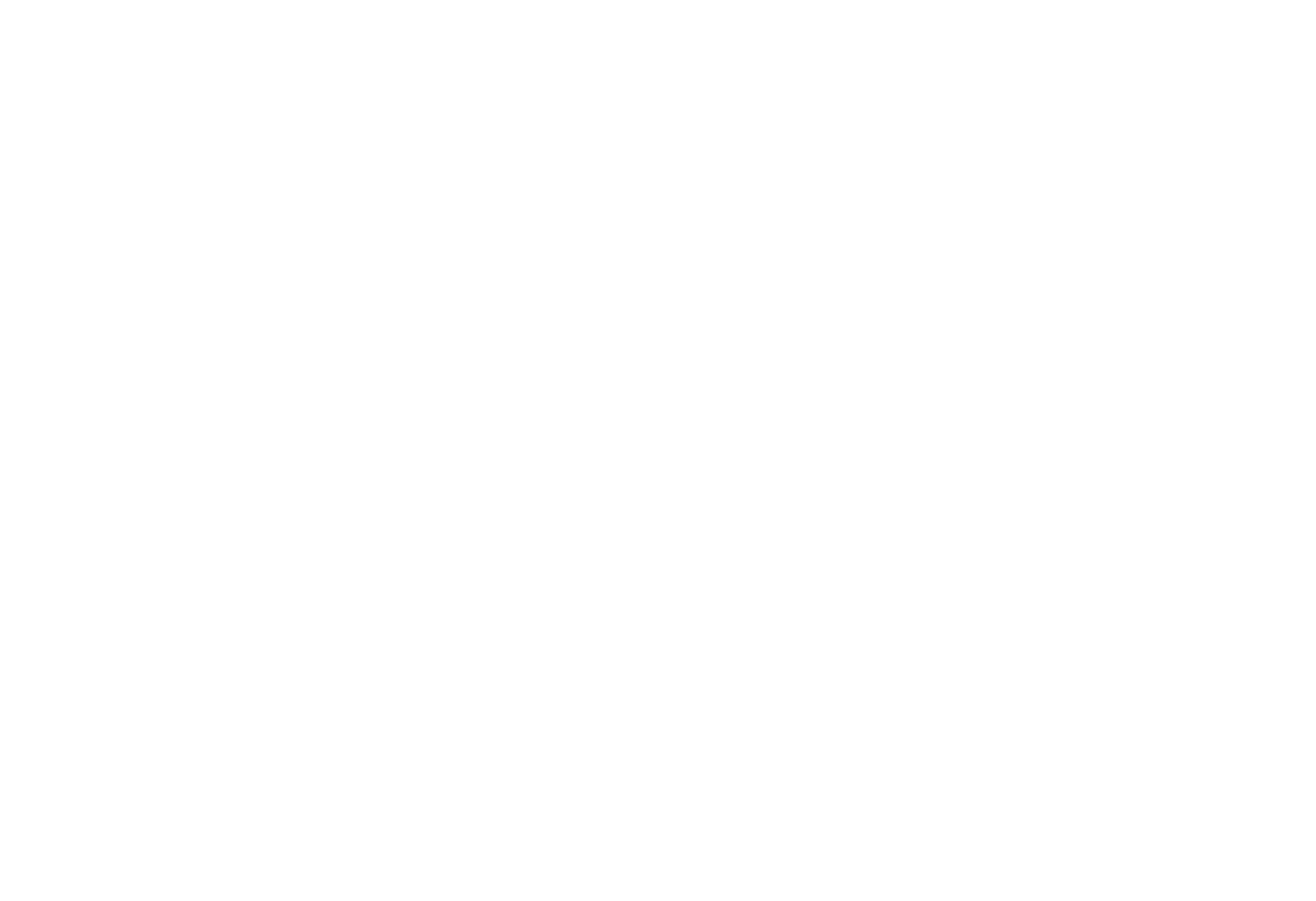 franzmakeup logo